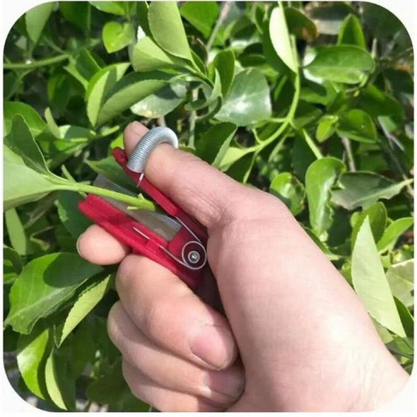 Vegetable Thump Knife Separator